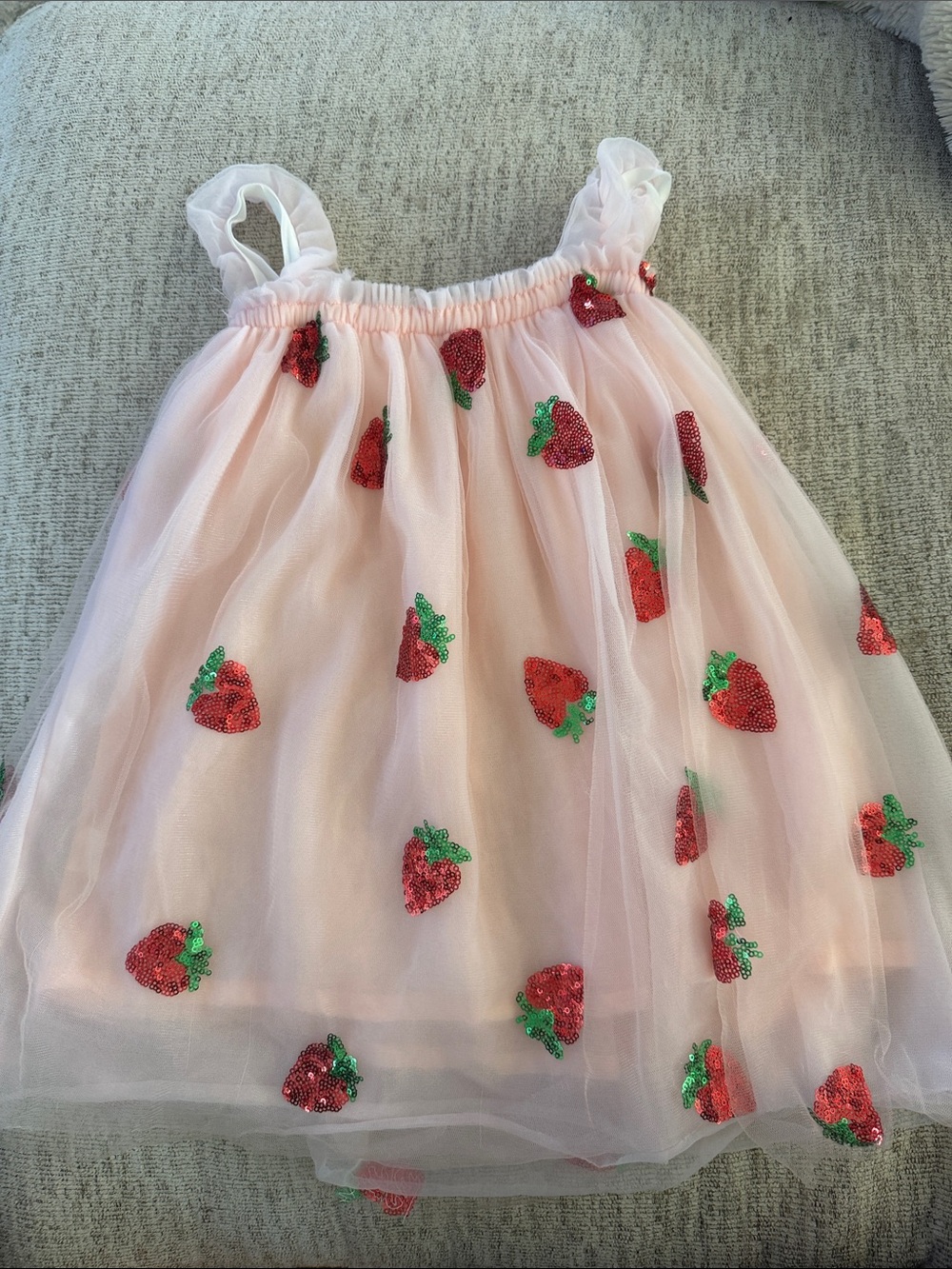 Pink Tulle Strawberry Embroidered Dress